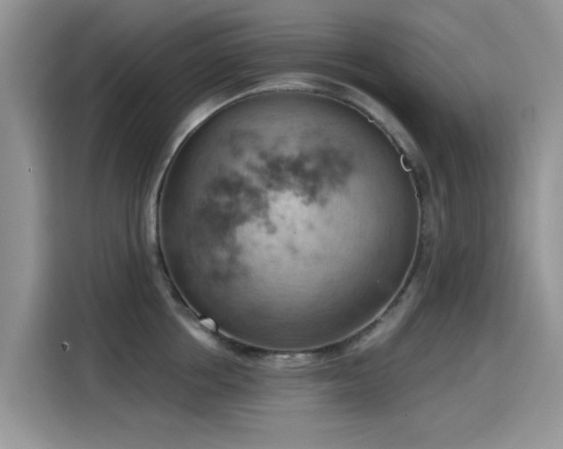 X0000115590858200911171028