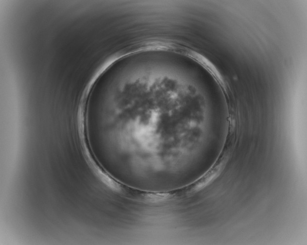 X0000115590859200911171028