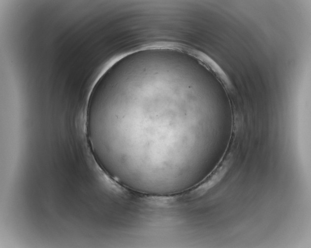 X0000115590860200911171028