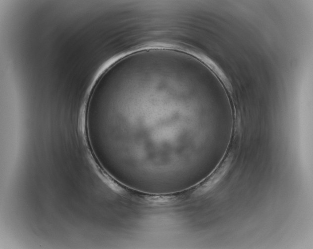 X0000115590862200911171028