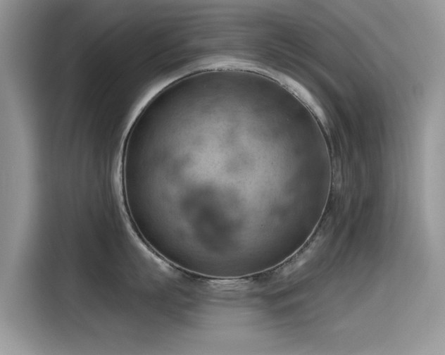 X0000115590863200911171028