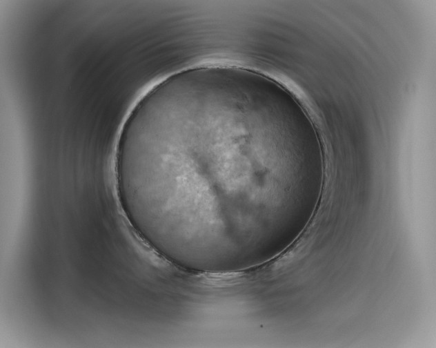 X0000115590864200911171028
