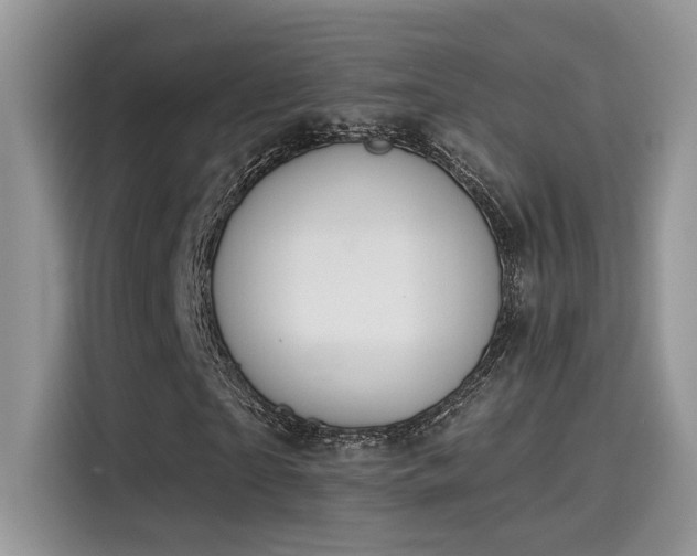 X0000115590865200911171028