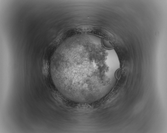 X0000115590866200911171028