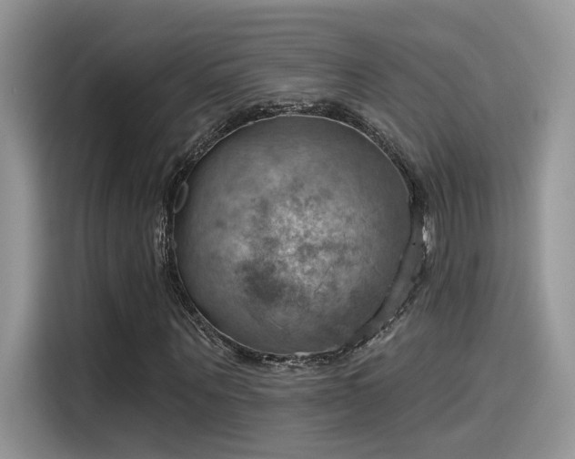 X0000115590867200911171028