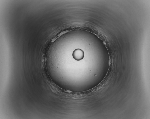 X0000115590868200911171028