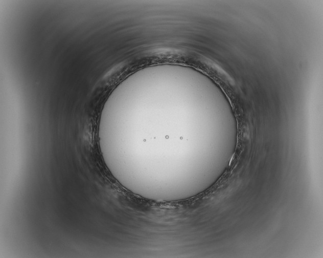 X0000115590869200911171028