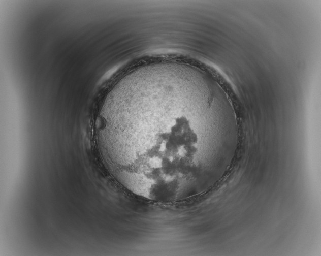 X0000115590871200911171028