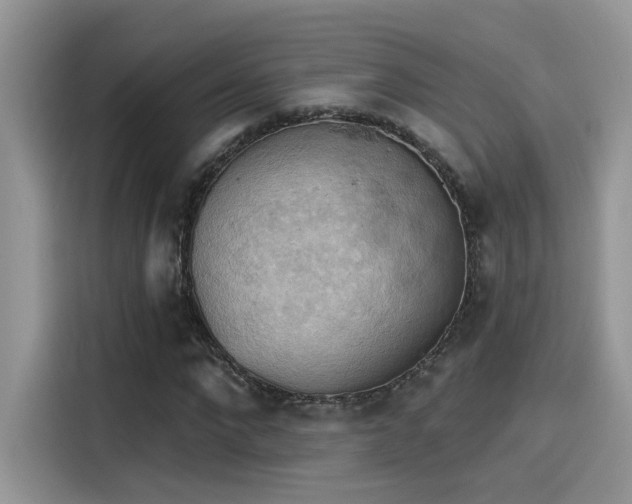 X0000115590872200911171028