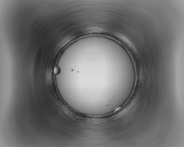 X0000115590873200911171028