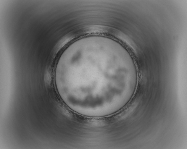 X0000115590874200911171028
