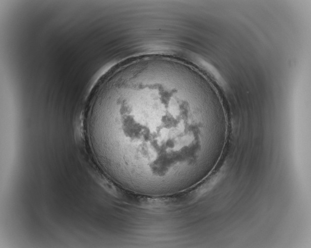 X0000115590875200911171028
