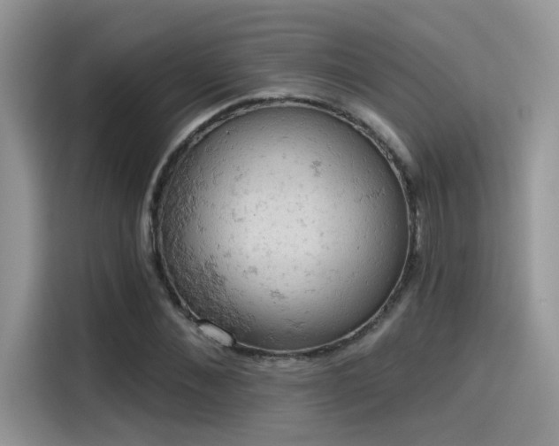 X0000115590876200911171027
