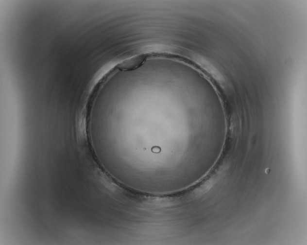 X0000115590877200911171027