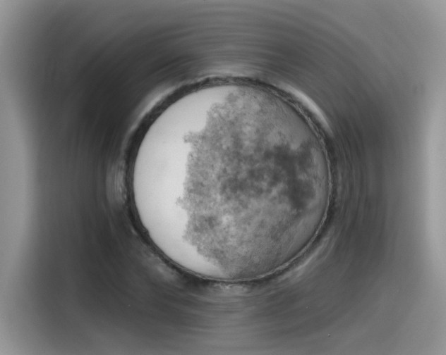 X0000115590878200911171027