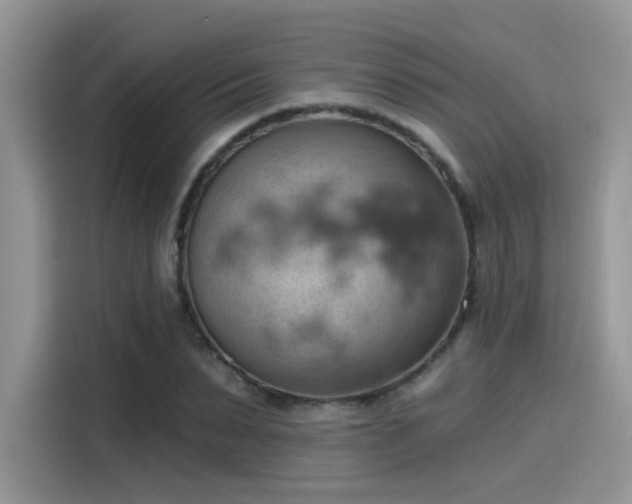 X0000115590879200911171027