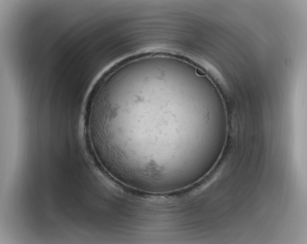 X0000115590880200911171027