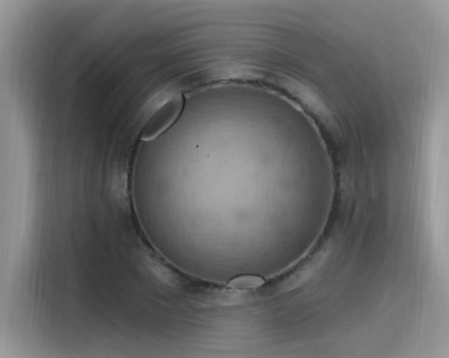 X0000115590881200911171027