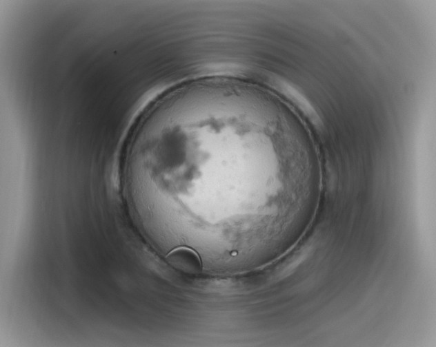 X0000115590883200911171027