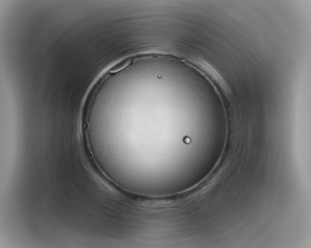 X0000115590884200911171027