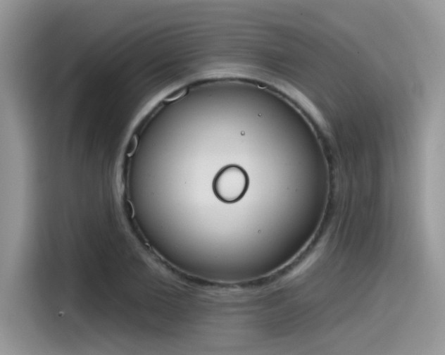 X0000115590885200911171027