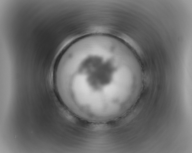 X0000115590886200911171027