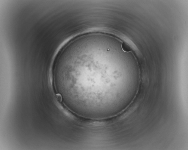 X0000115590888200911171027