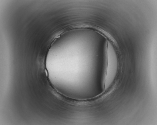 X0000115590889200911171027