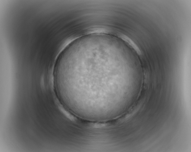 X0000115590890200911171027