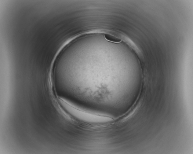 X0000115590892200911171027