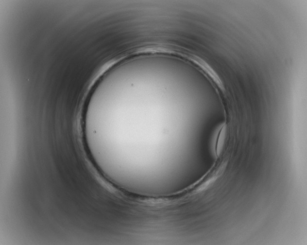 X0000115590893200911171027
