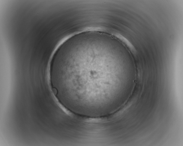 X0000115590894200911171027