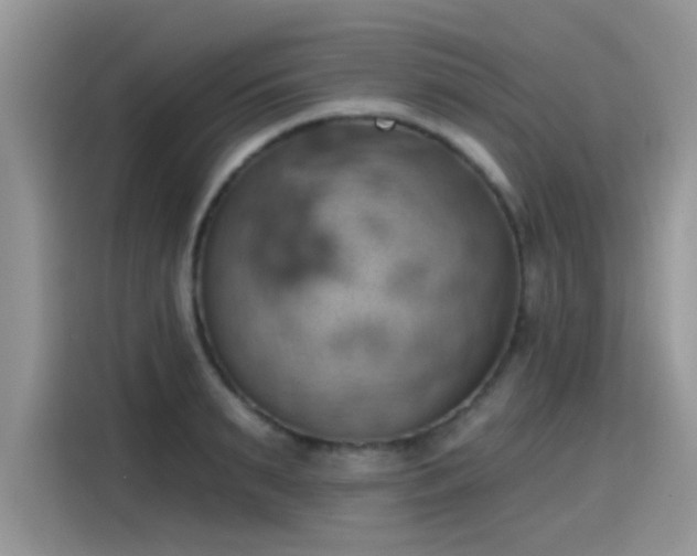 X0000115590895200911171027