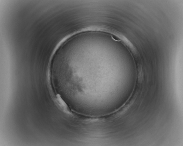 X0000115590896200911171027