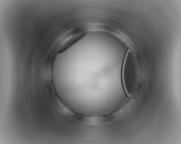 X0000115590897200911171027