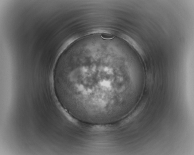 X0000115590898200911171027