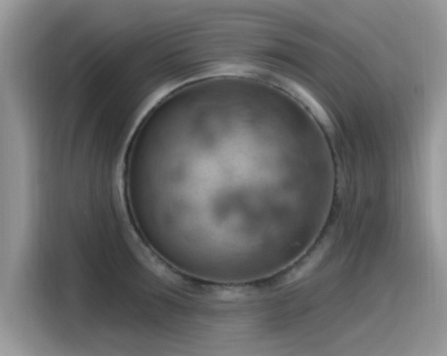 X0000115590899200911171027