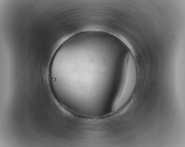 X0000115590901200911171027