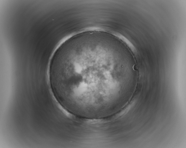 X0000115590902200911171027