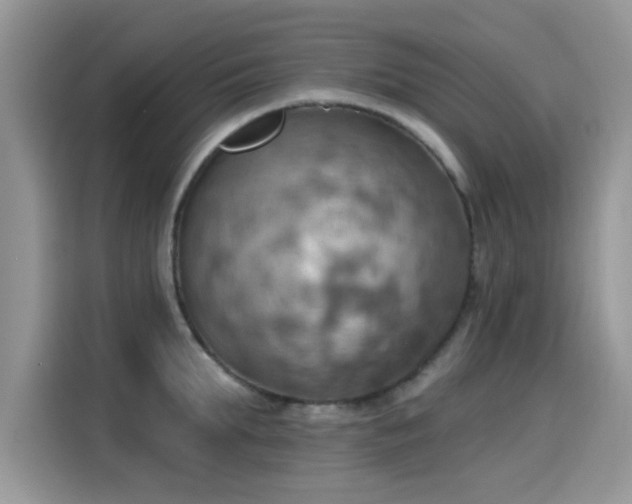 X0000115590903200911171027