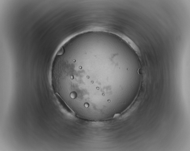 X0000115590904200911171027
