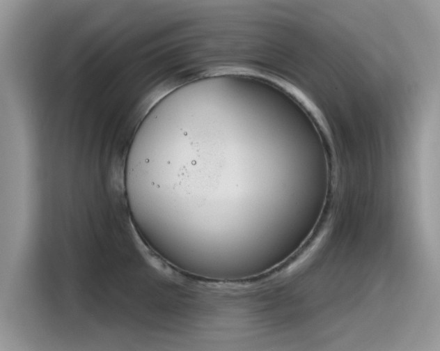 X0000115590905200911171027