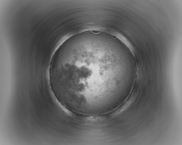 X0000115590906200911171027