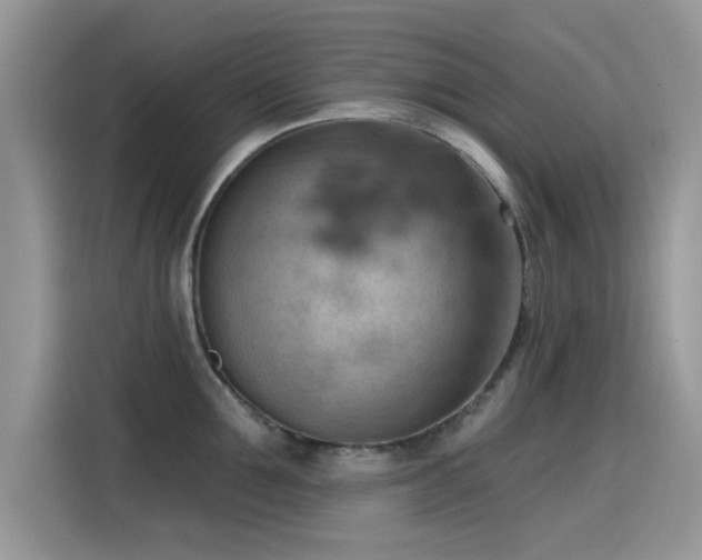X0000115590907200911171027