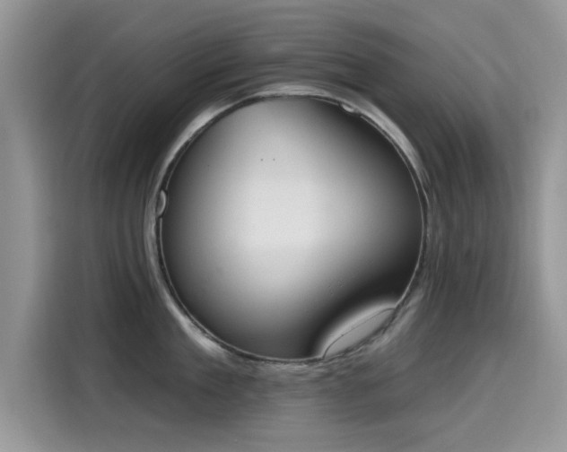 X0000115590909200911171027