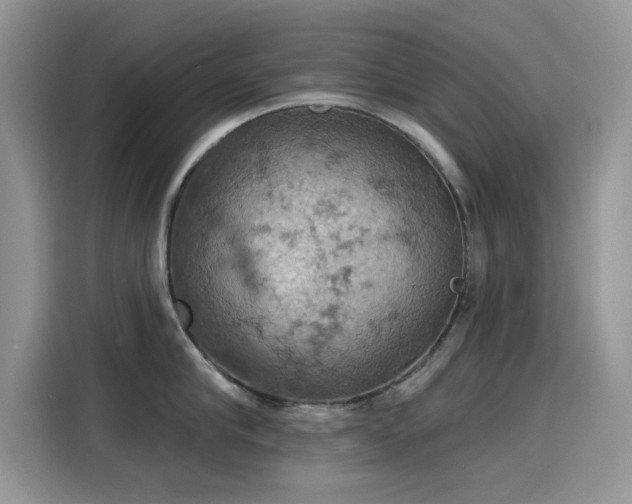 X0000115590910200911171027
