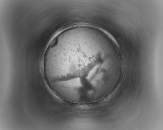 X0000115590911200911171027