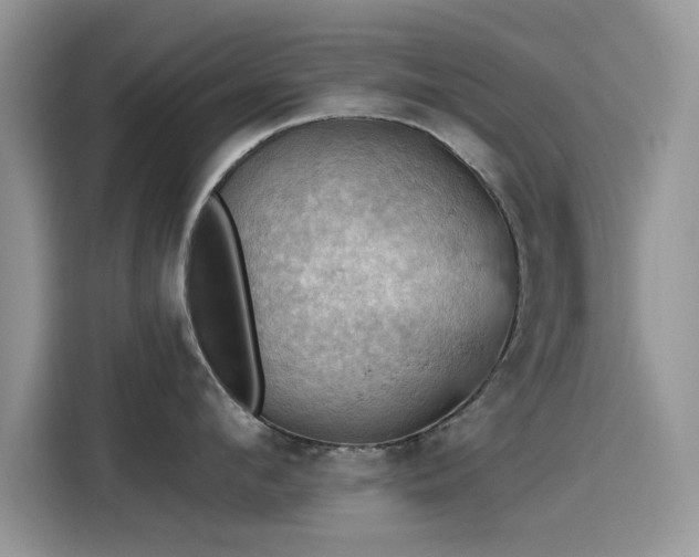 X0000115590912200911171027