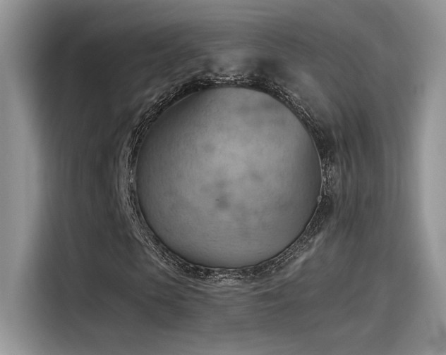X0000115590913200911171026