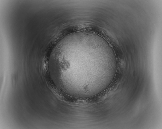 X0000115590914200911171026
